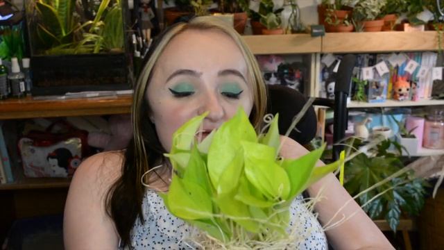 UNBOXING Plants from Studio Foliage!! смотреть онлайн