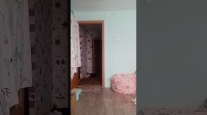 🩸Новые герои из попи ПЛЕТАЙМ 5!🩸