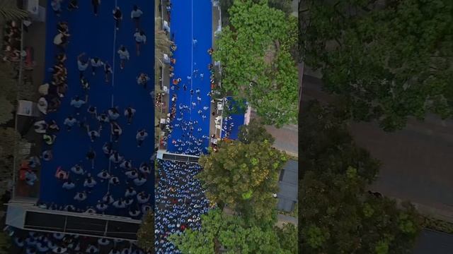 Петеримова Юлия  Репродуктивный психолог