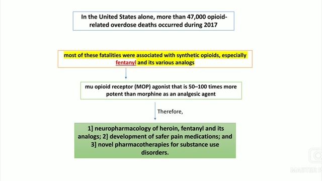 Research Focus on Opioid medications смотреть онлайн