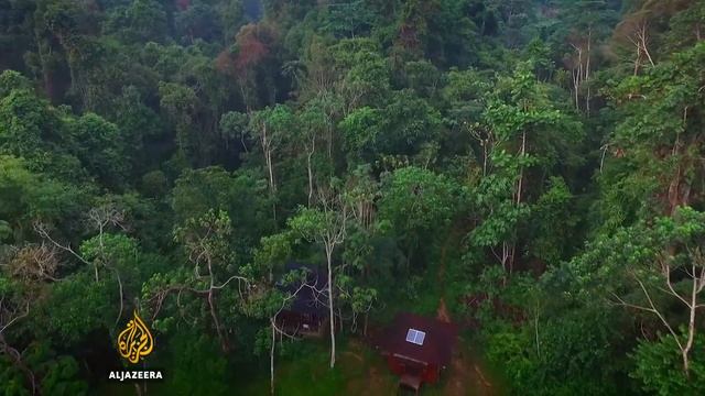 🇦🇺 The Orangutan Whisperer | 101 East смотреть онлайн