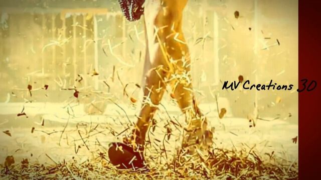 Ram Charan Mass WhatsApp Status смотреть онлайн
