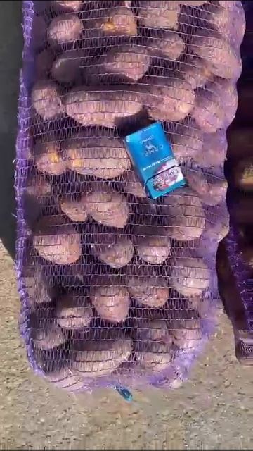 Купить картофель оптом в Казани. Сайт картофельопт.рф смотреть онлайн