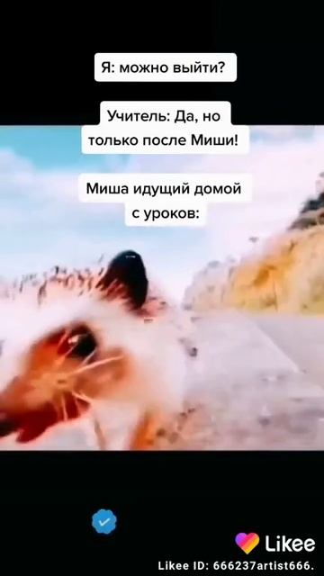 чисто школа номер 10😂наша школа😂😂😂😂😂💩✊😮 смотреть онлайн