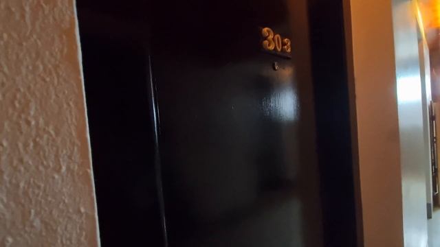 Phi Phi To Phuket | Patong Beach | Phuket Night Market | 7Q Hotel