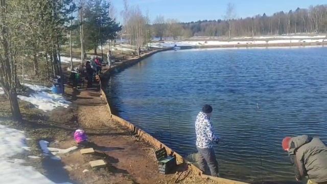 WhatsApp Video 2025-04-14 at 09.55.46 смотреть онлайн