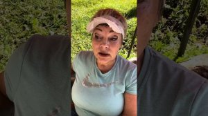 Беременность и роды французского бульдога