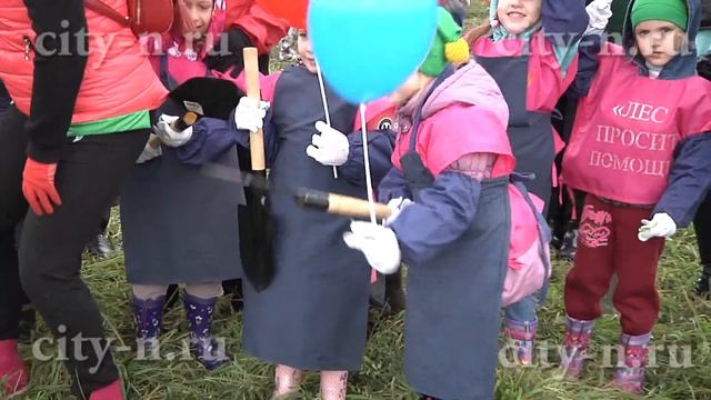 Новокузнечане высадили 400 сосен в виде цифры 400 смотреть онлайн