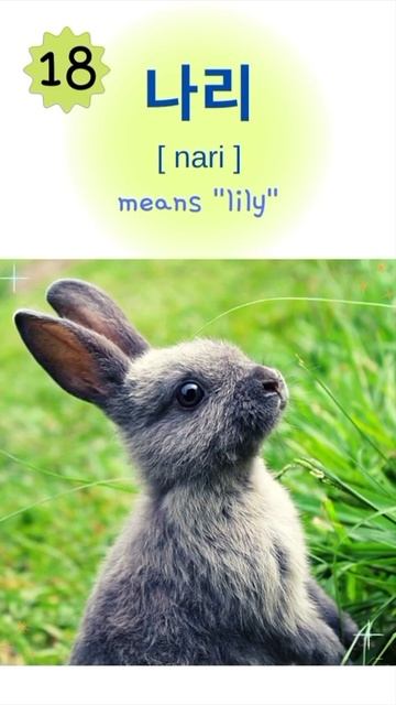 Korean Names for Rabbits смотреть онлайн