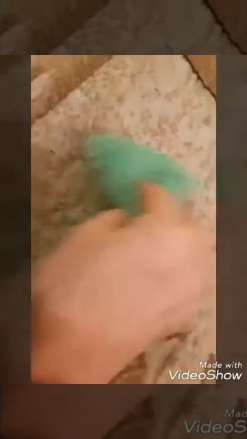 Гринвей: губка Инволвер смотреть онлайн