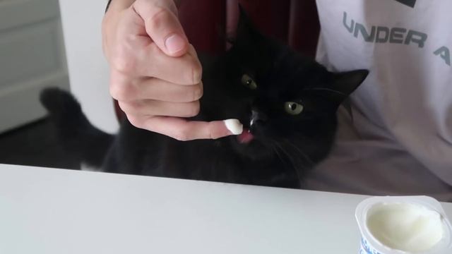 Cooking Z to A: Chicken and crepes смотреть онлайн