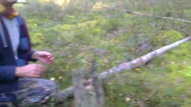 Карельская ГРИБалка 2014 смотреть онлайн