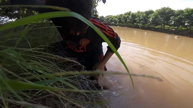 Tony | Dẫn Team Đi Hái Sen Ngoài Ruộng - Collect Lotus Seed-pod смотреть онлайн