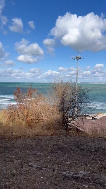 Что происходит в Анапе, вы только посмотрите #анапа #городдетства #городкурорт #лето2023 #море смотреть онлайн