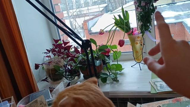 Скрап влог 5 в 2024. Проекты, посылки марта смотреть онлайн