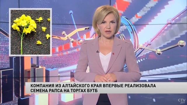 Белорусские предприятия впервые купили семена масличных в Алтайском крае через БУТБ смотреть онлайн