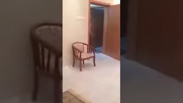 ШОКЕР VS СНА смотреть онлайн