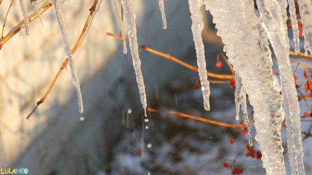 Ten jeden prosty trick sprawi, że Twoje dziecko zaśnie w minutę! смотреть онлайн