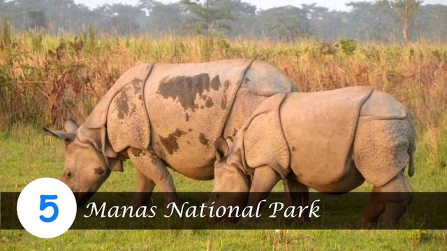 Ten Best Places to visit in Assam, India | Travel Tips смотреть онлайн