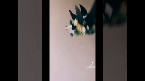 драконы из тт (немои)