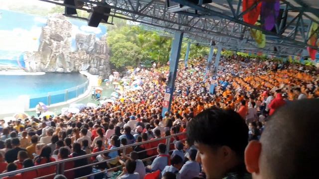 Thailand 🇹🇭 ka safari World Park/bahot bara jungle Bachon ko kysa laga/mustafa sajid vlogs смотреть онлайн