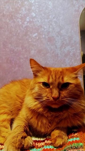 снова понедельник