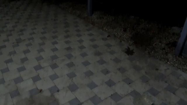 Краснодарский край. Едем в свой дом в станице(24.11.2021) смотреть онлайн