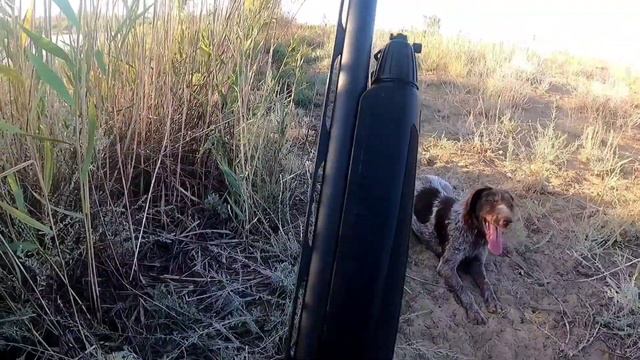 Охота на уток Казахстан смотреть онлайн