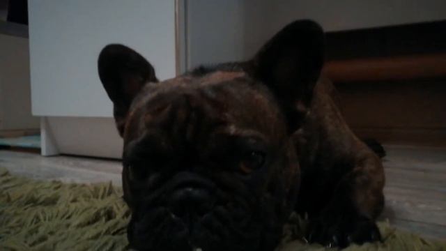 10 ФАКТОВ ОБО МНЕ/ ЕМ КОМАРОВ? смотреть онлайн