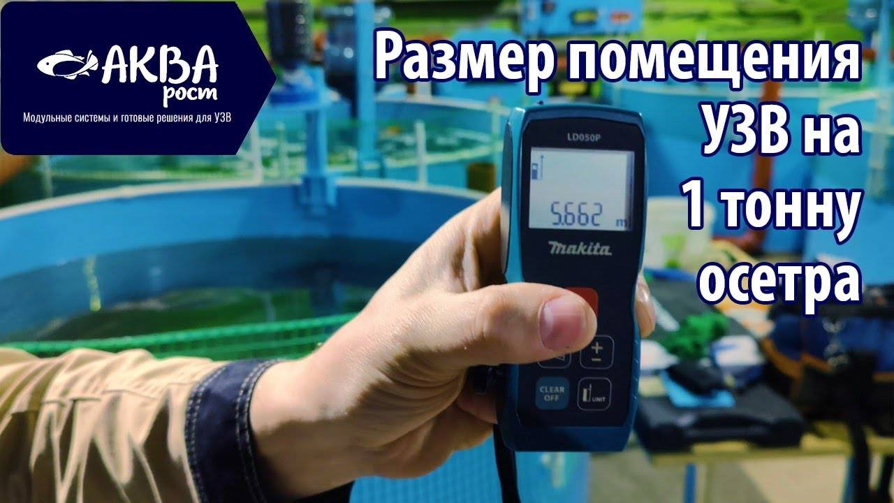 Помещение для содержания тонны осетра в УЗВ смотреть онлайн