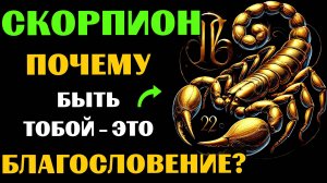 ♏🔥30 ПРИЧИН ПОЧЕМУ БЫТЬ СКОРПИОНОМ - ЭТО БЛАГОСЛОВЕНИЕ. ✅ЗНАЧЕНИЕ ЗНАКА ЗОДИАКА СКОРПИОН. #скорпион