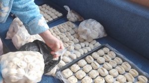 Хроника дня // на ночь глядя всей семьёй // мои заготовки  //