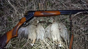 Открытие по вальдшнепу 2025.