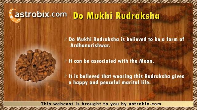 Rudraksha - The significance of each Rudraksha смотреть онлайн