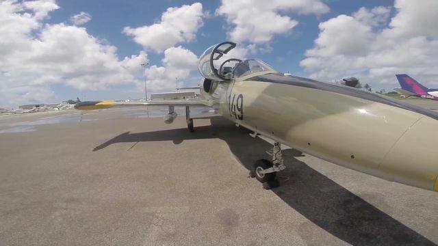 Quick tour of the Aero L-39 Albatros Fighter Jet (GoPro HD) смотреть онлайн