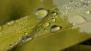 Футаж восход солнца природа