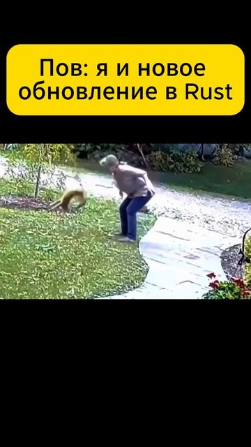 Rust новое обновление #rust #раст смотреть онлайн