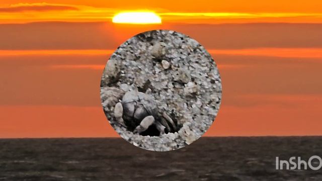 Мне всё же нравится жить! смотреть онлайн