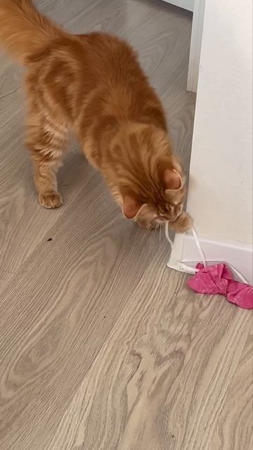 Работа за 7500 смотреть онлайн