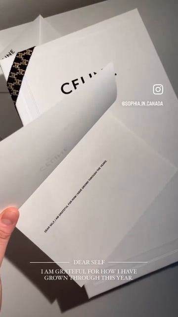 #Celine Phone Pouch❤️ смотреть онлайн