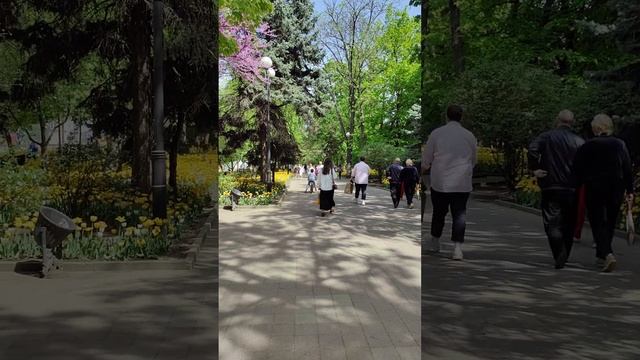 Ростов-на-Дону смотреть онлайн