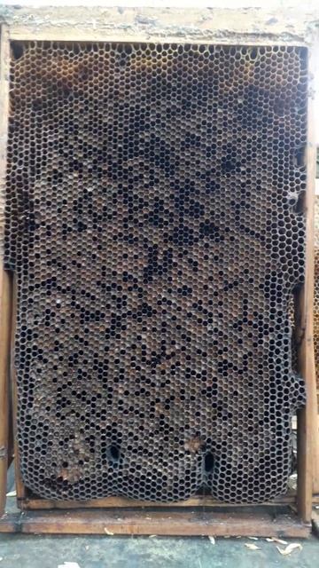 🐝Узко-высокая рамка🍯