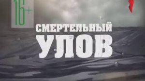 Анонсы (Перец, 26.07.2013)