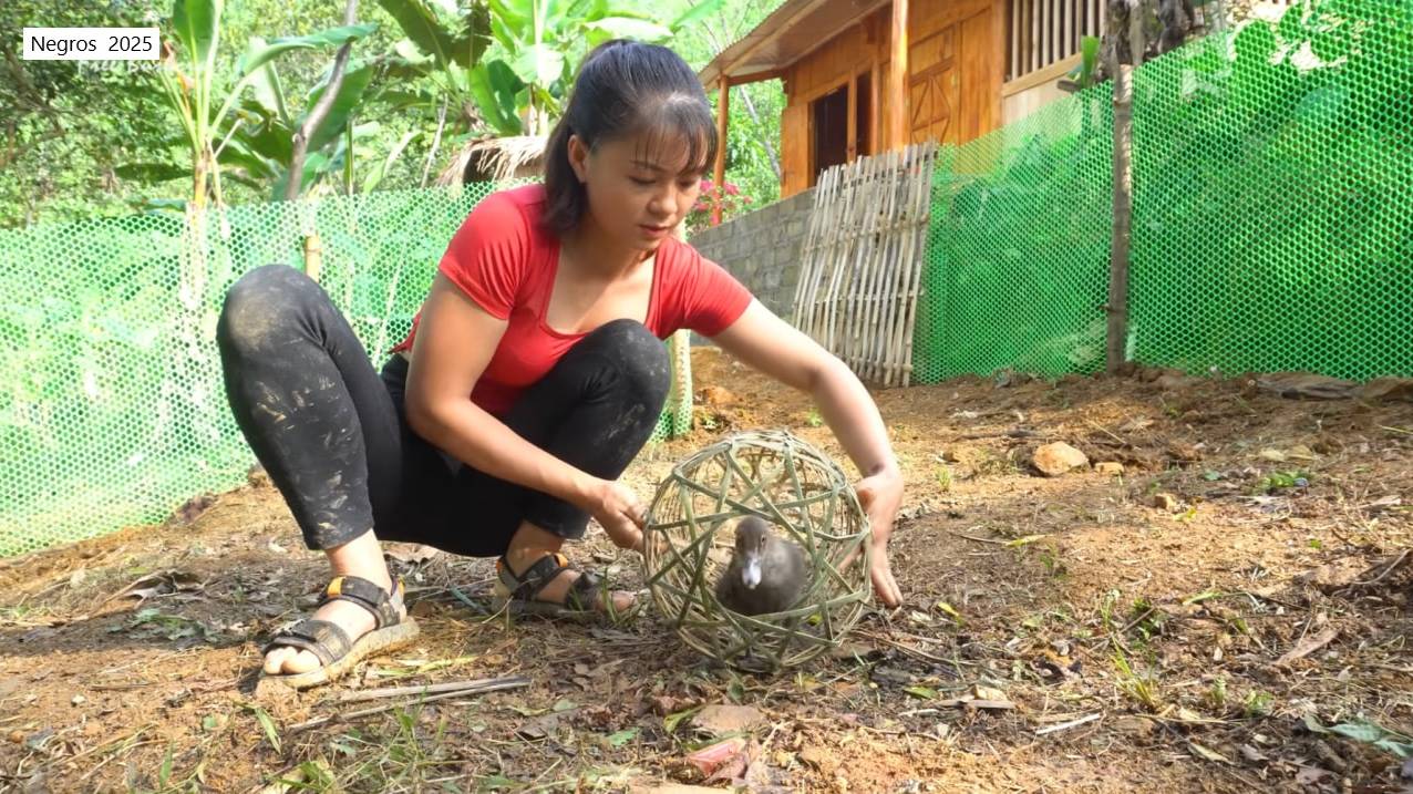 Дорис 7. Дорис строит загон для гусят. смотреть онлайн