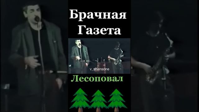 Лесоповал - Брачная газета #хулиганка #воровайка #мурка #шансон #шансонтв смотреть онлайн