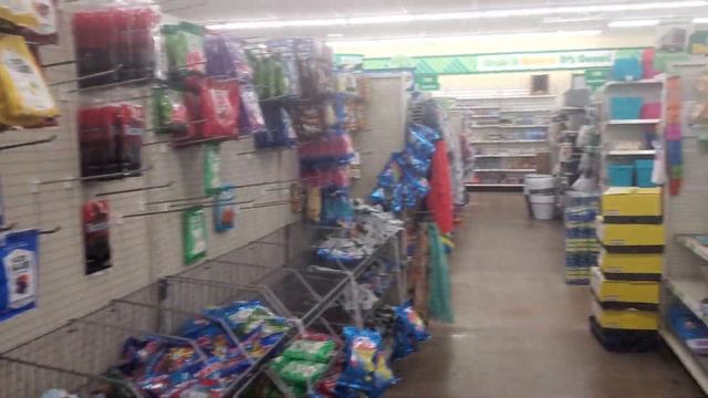 Mагазин Dallar tree ,(семена и все остальное)Erie PA по 1,25 смотреть онлайн