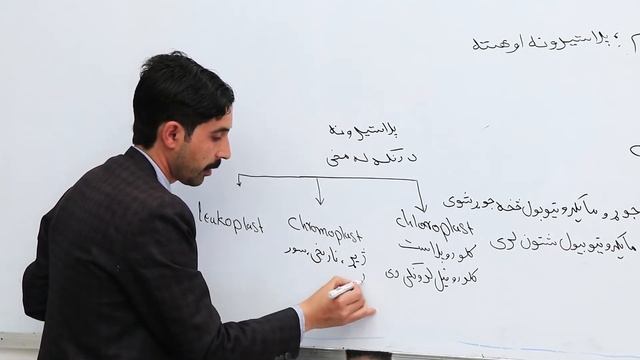 یوولسم ټولګی - بیولوژی مضمون - یوولسم لوست ( سنتروزوم ، پلاستیدونه او هسته )