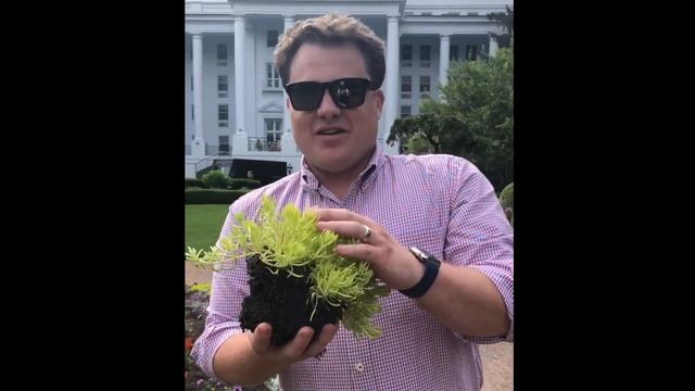 Zeke Cooper's Pro Plant Pick смотреть онлайн