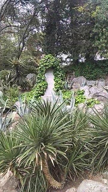 кактус) смотреть онлайн