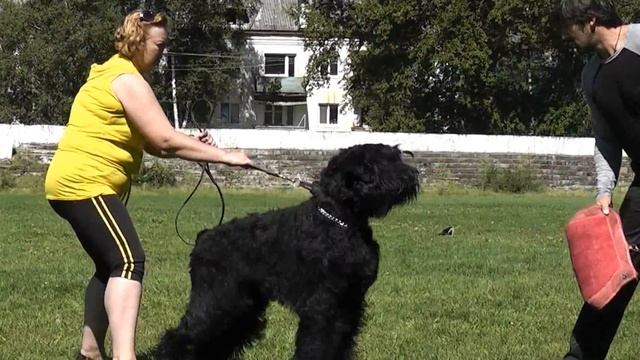 РЧТ Чара смотреть онлайн